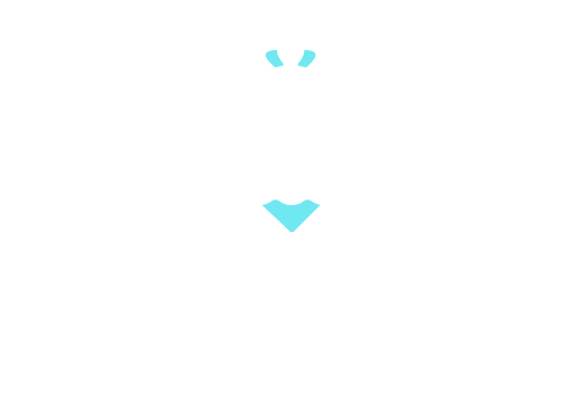 light logo