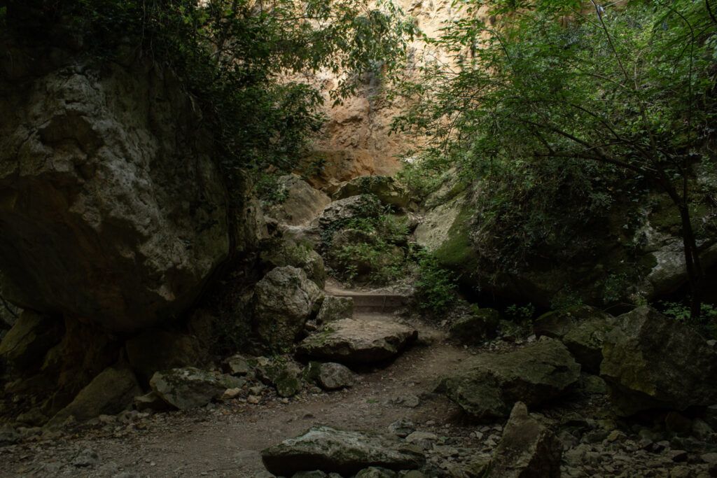 5-_MG_6681